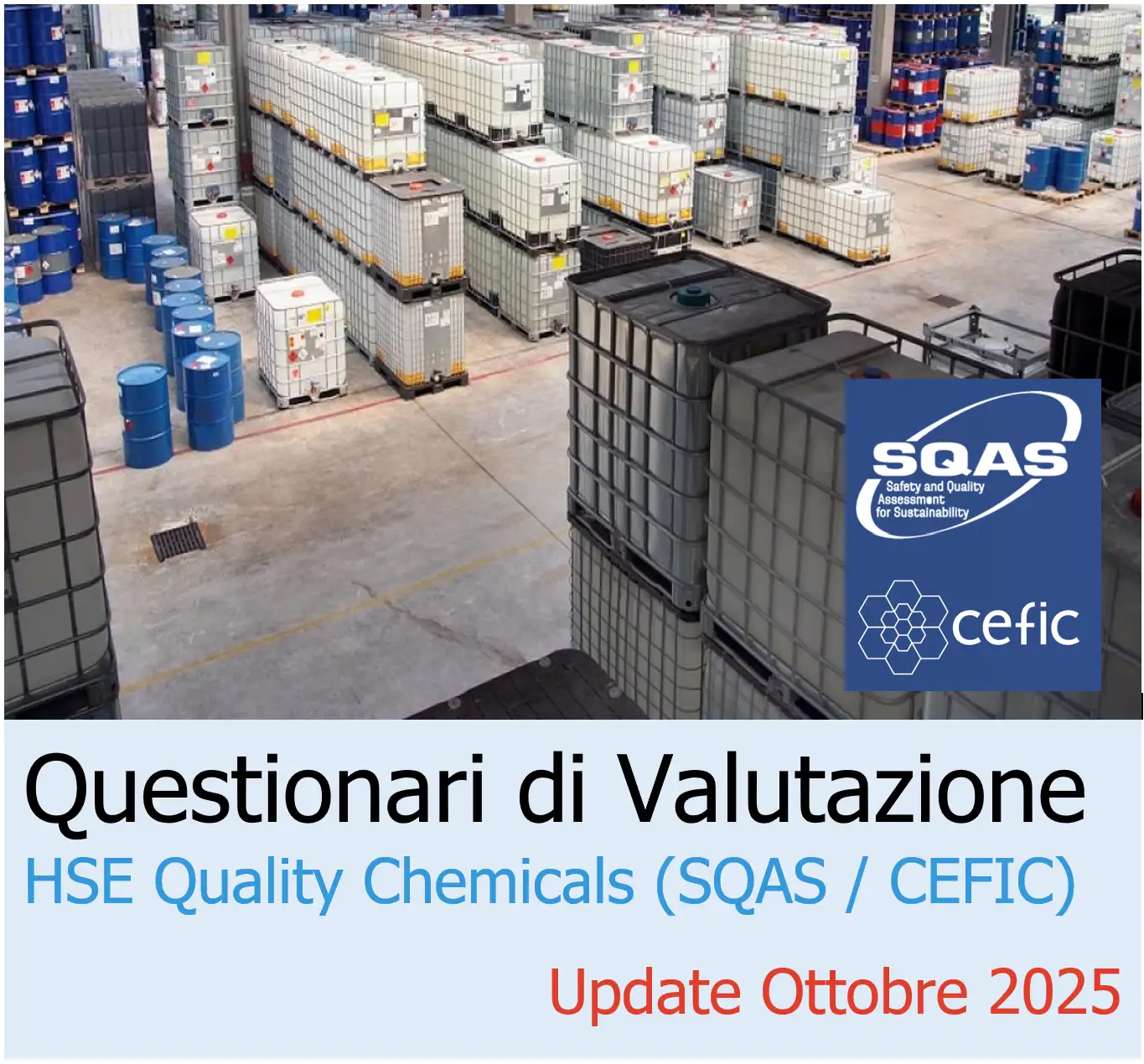 Questionari di Valutazione su HSE Quality Chemicals (SQAS / CEFIC)